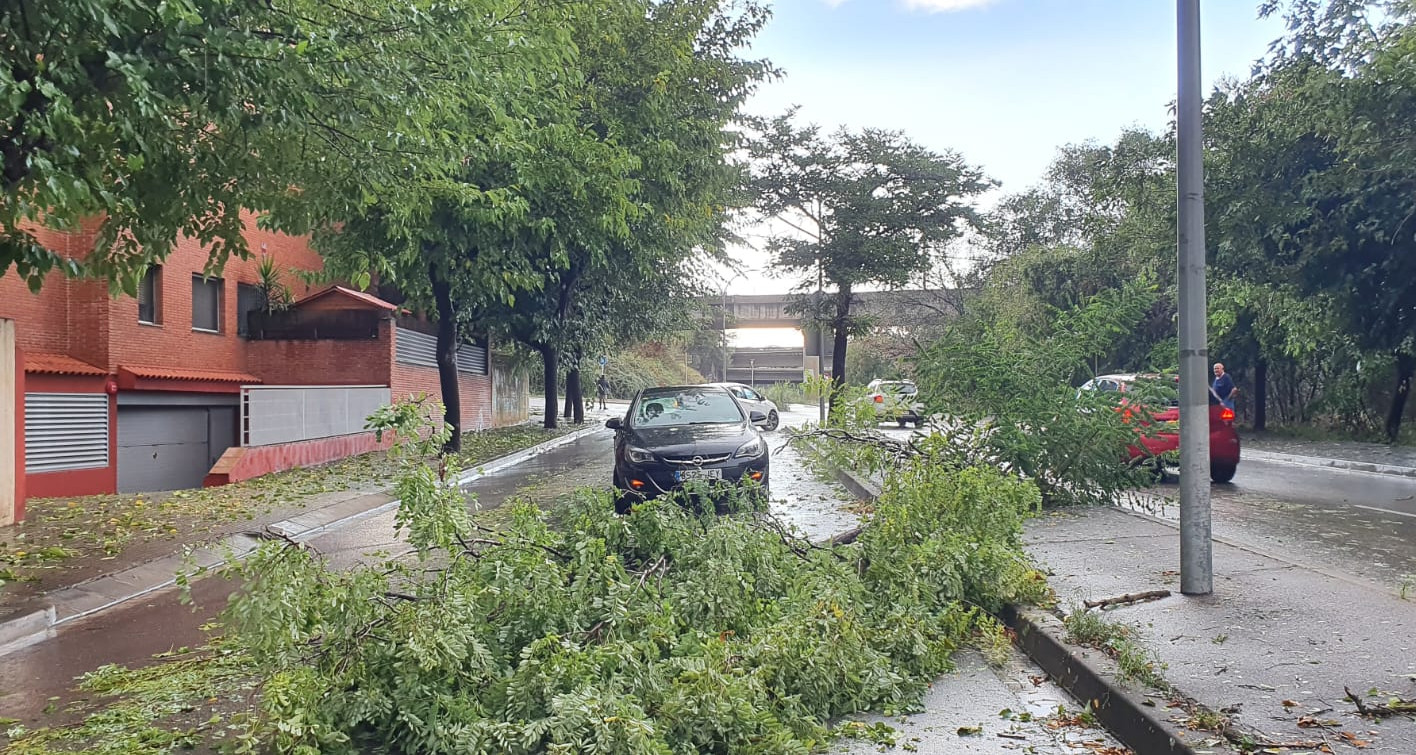 Prealerta el Pla Bàsic de protecció civil municipal per ventades